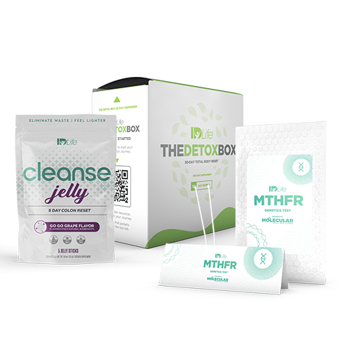 MTHFR + Detox Bundle